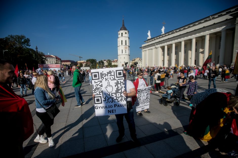 Sociologė R. Žiliukaitė: protestas turės įtakos rinkimams