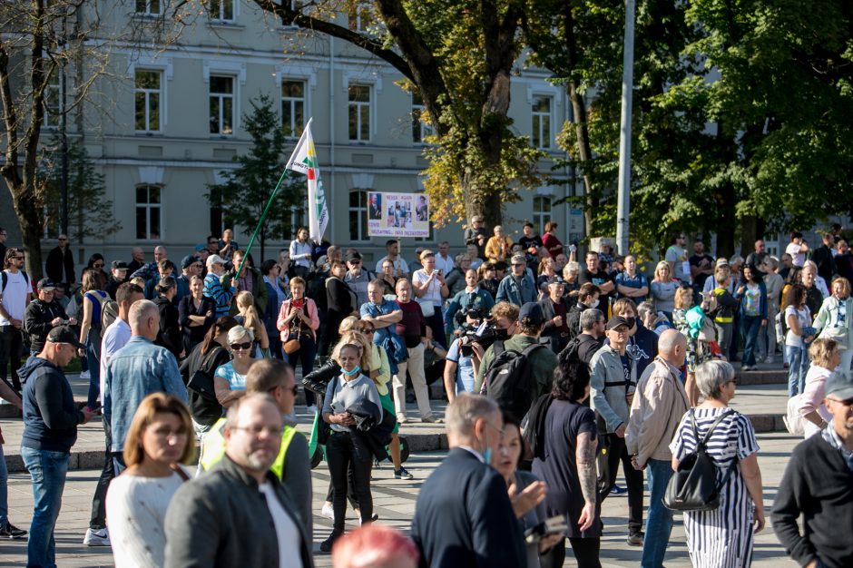 Sociologė R. Žiliukaitė: protestas turės įtakos rinkimams