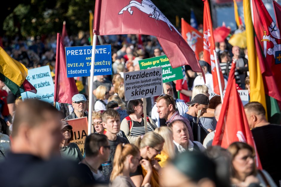 Sociologė R. Žiliukaitė: protestas turės įtakos rinkimams