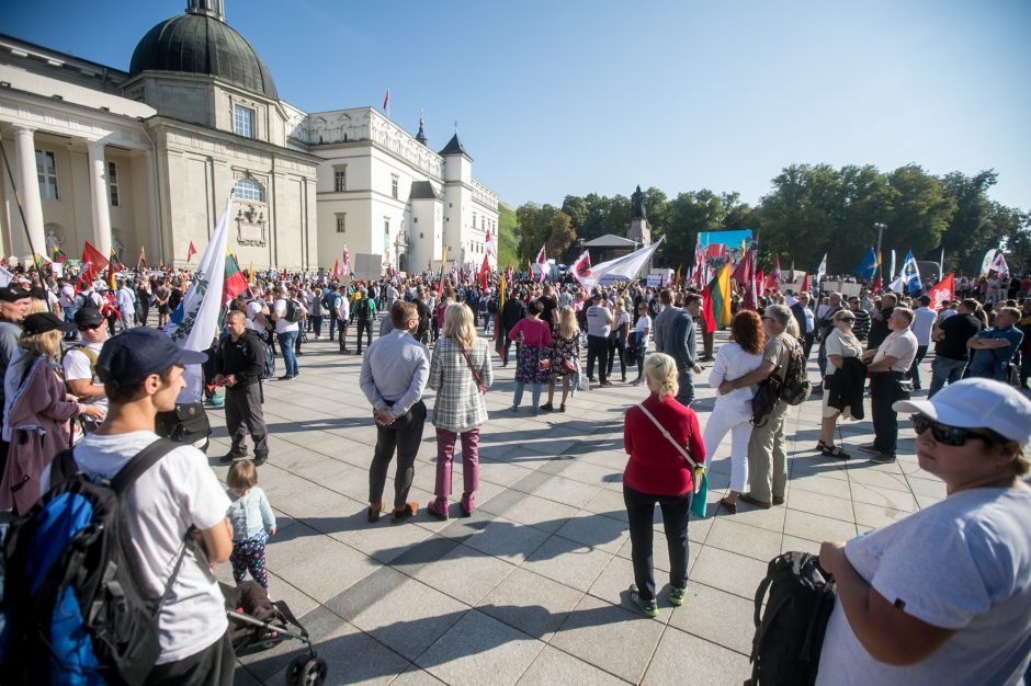 Sociologė R. Žiliukaitė: protestas turės įtakos rinkimams