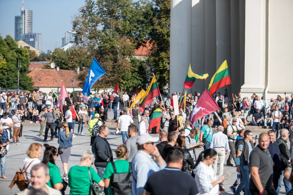 Sociologė R. Žiliukaitė: protestas turės įtakos rinkimams