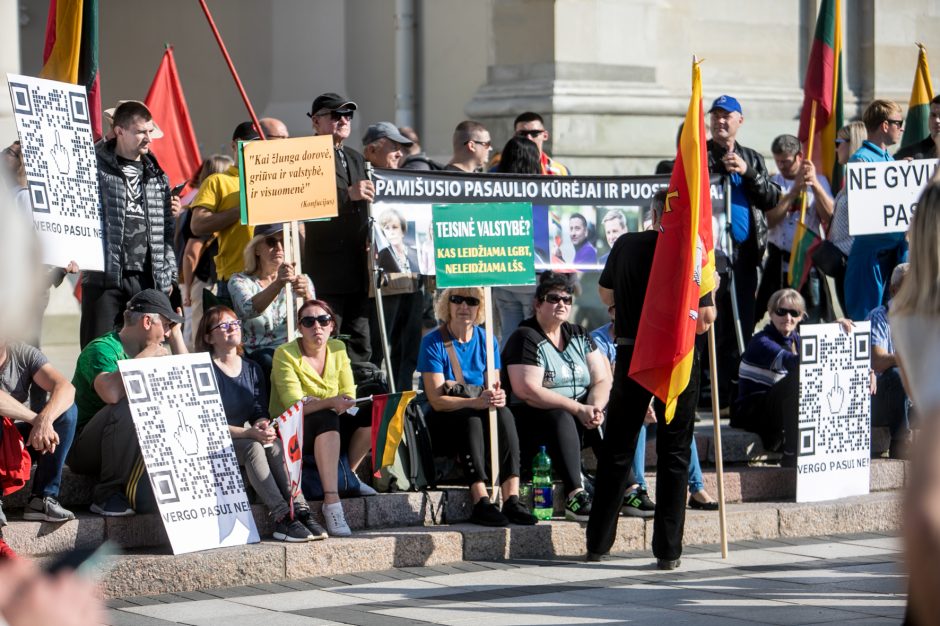 Sociologė R. Žiliukaitė: protestas turės įtakos rinkimams