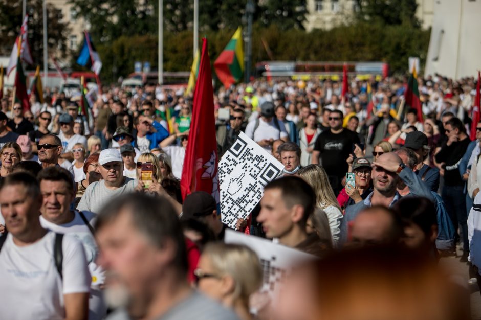 Sociologė R. Žiliukaitė: protestas turės įtakos rinkimams