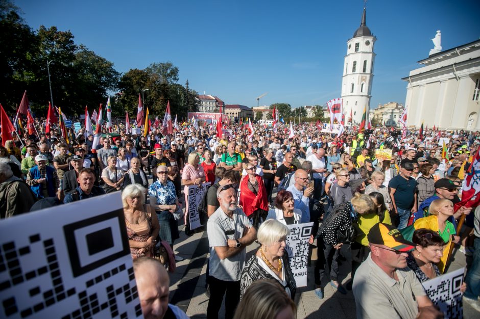 Sociologė R. Žiliukaitė: protestas turės įtakos rinkimams