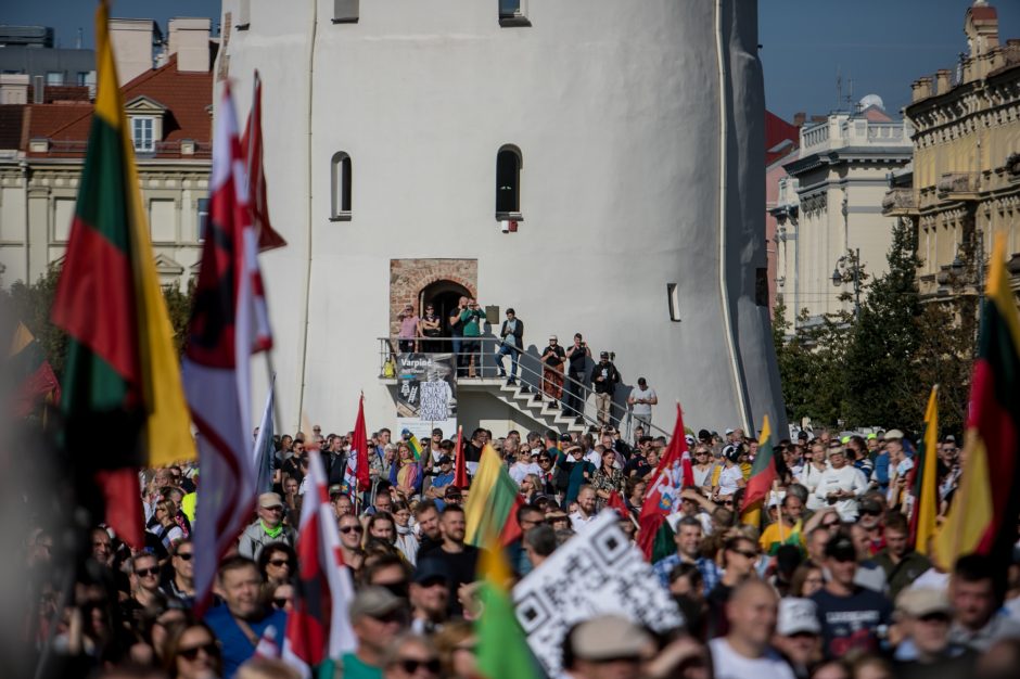 Sociologė R. Žiliukaitė: protestas turės įtakos rinkimams