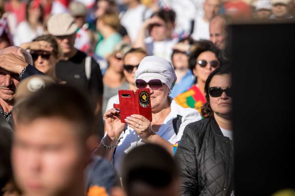 Sociologė R. Žiliukaitė: protestas turės įtakos rinkimams