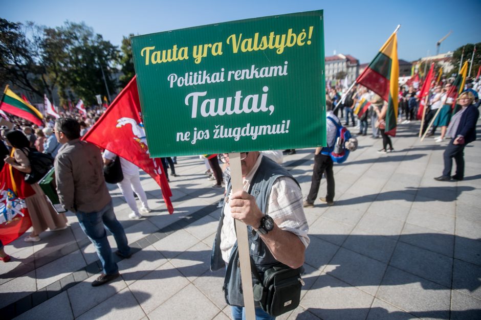 Sociologė R. Žiliukaitė: protestas turės įtakos rinkimams