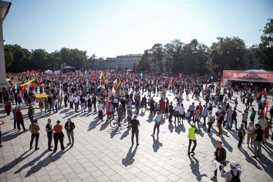 Sociologė R. Žiliukaitė: protestas turės įtakos rinkimams