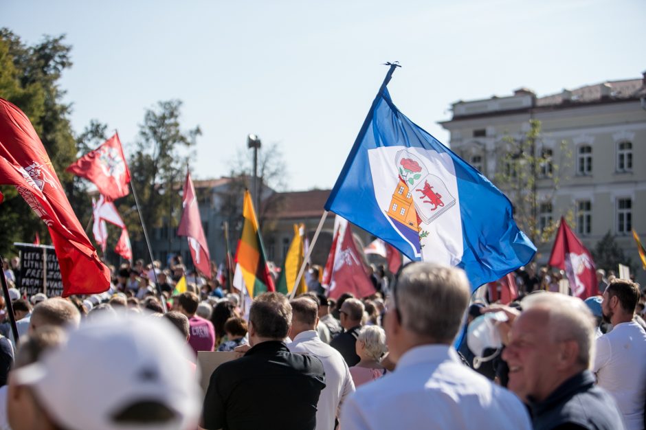 Sociologė R. Žiliukaitė: protestas turės įtakos rinkimams