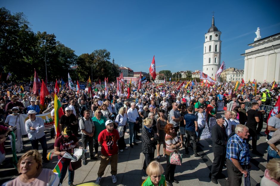 Sociologė R. Žiliukaitė: protestas turės įtakos rinkimams