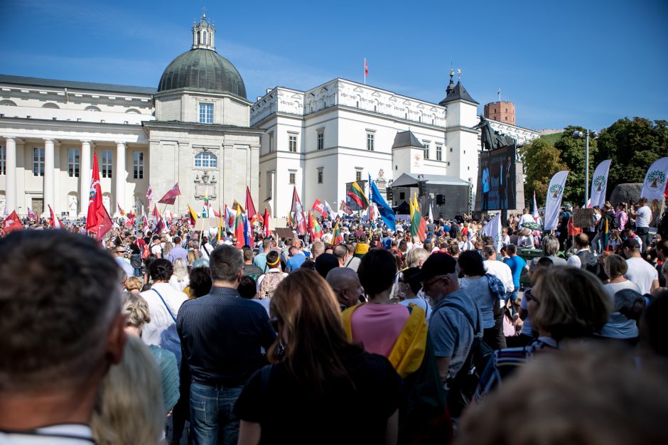 Sociologė R. Žiliukaitė: protestas turės įtakos rinkimams