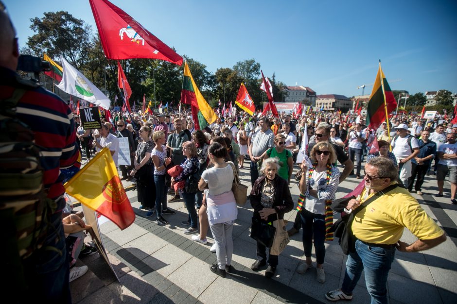 Sociologė R. Žiliukaitė: protestas turės įtakos rinkimams