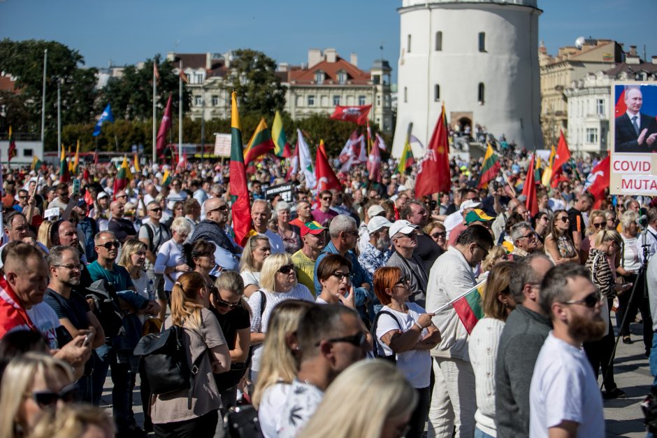 Sociologė R. Žiliukaitė: protestas turės įtakos rinkimams