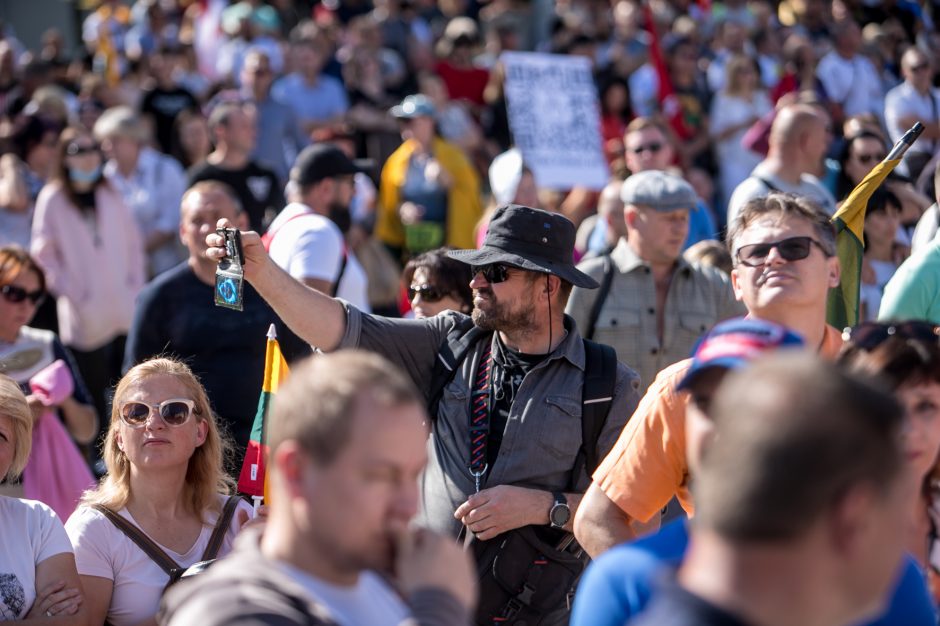 Sociologė R. Žiliukaitė: protestas turės įtakos rinkimams