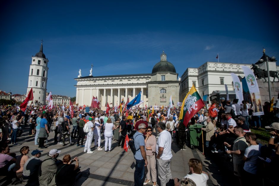 Sociologė R. Žiliukaitė: protestas turės įtakos rinkimams