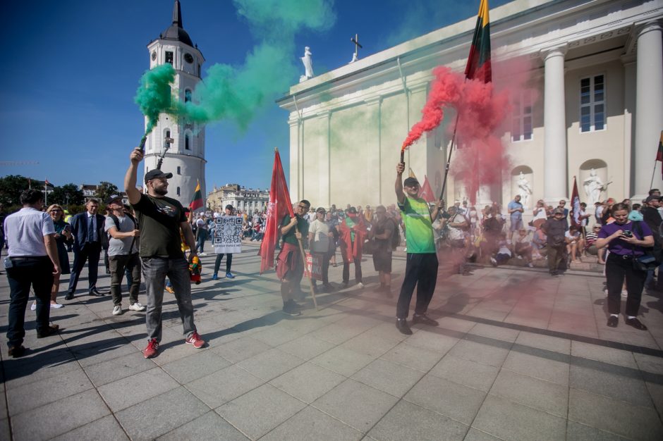 Sociologė R. Žiliukaitė: protestas turės įtakos rinkimams