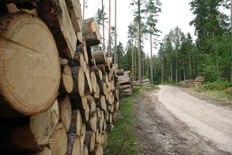 Valstybinių miškų urėdija: medienos kaina didėjo 20 proc.