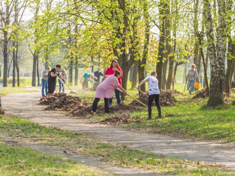 Aplinkos psichologė: ekologiją renkamės, kai ji mums patogi