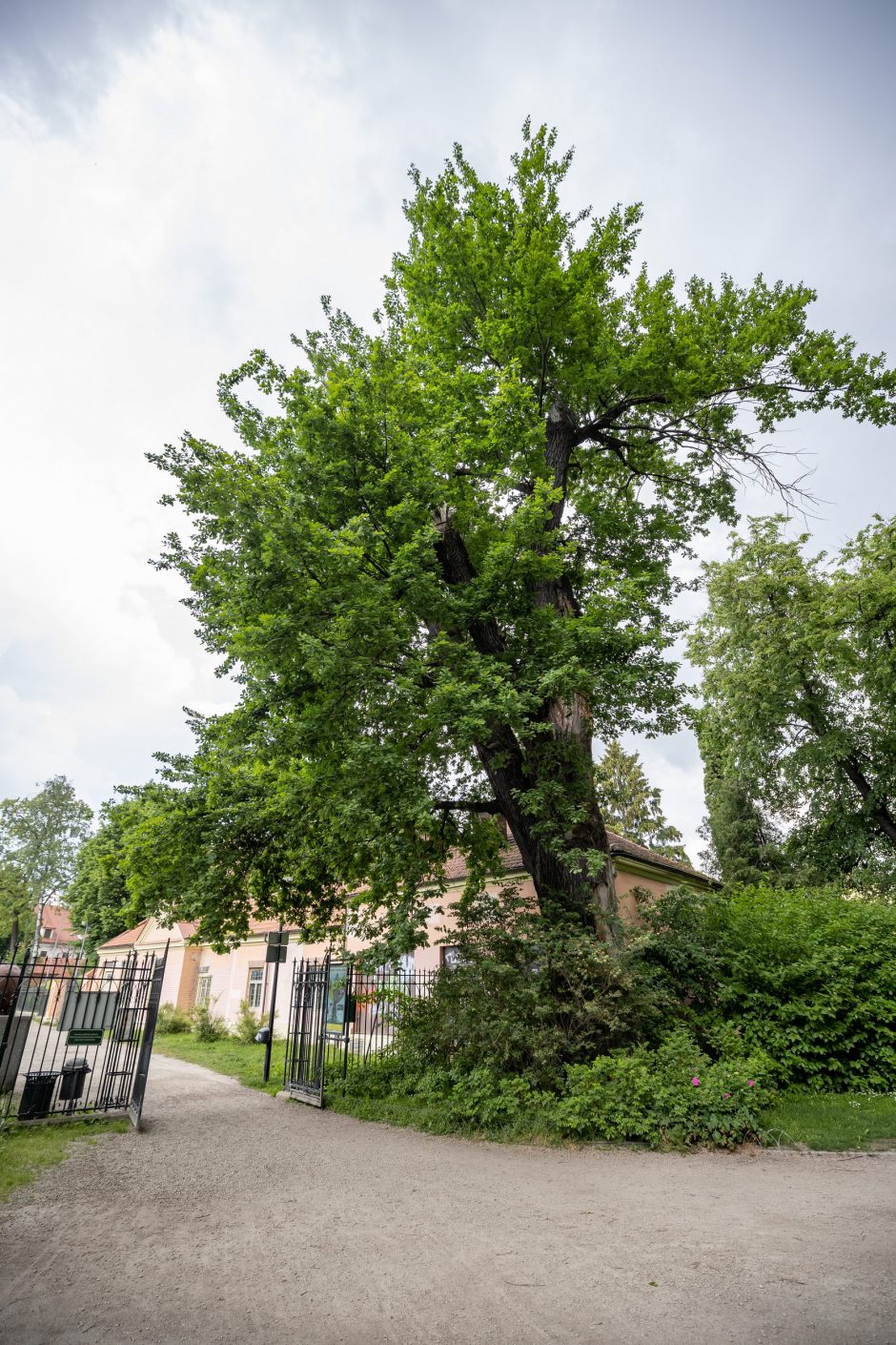 Prieš 10 metų pradėtas Bernardinų sodo rekonstravimo projektas ir šiandien – tikra poilsio oazė