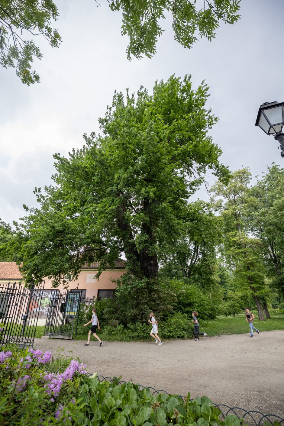 Prieš 10 metų pradėtas Bernardinų sodo rekonstravimo projektas ir šiandien – tikra poilsio oazė