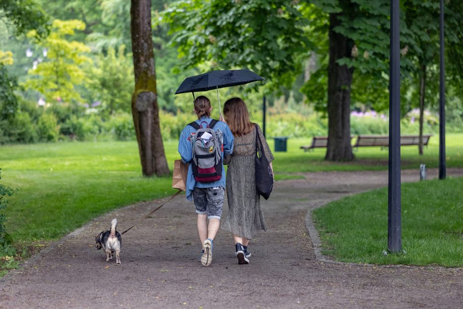 Prieš 10 metų pradėtas Bernardinų sodo rekonstravimo projektas ir šiandien – tikra poilsio oazė