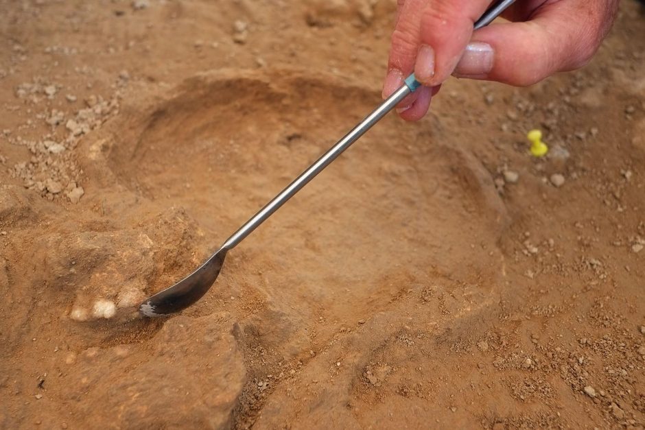 Prancūzijos archeologai rado 560 tūkst. metų senumo žmogaus dantį
