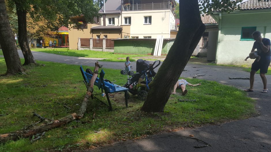 Per plauką nuo tragedijos: į Vytauto parko spąstus pateko šilainiškių šeima