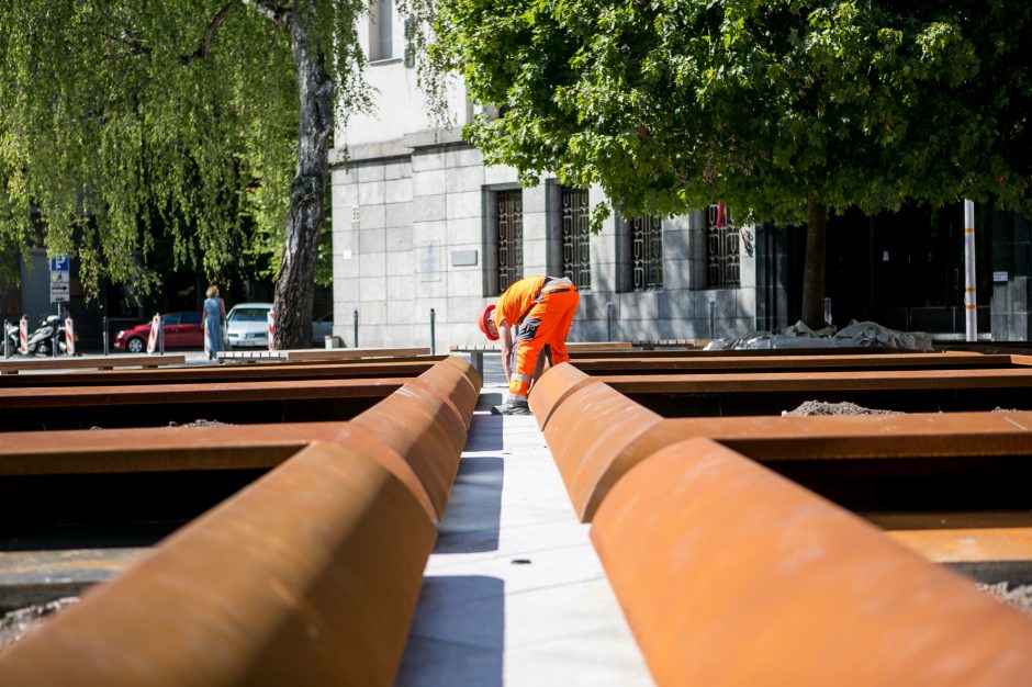 Glumina vaizdas prie savivaldybės: šis gėlynas primena Petrašiūnų kolumbariumą