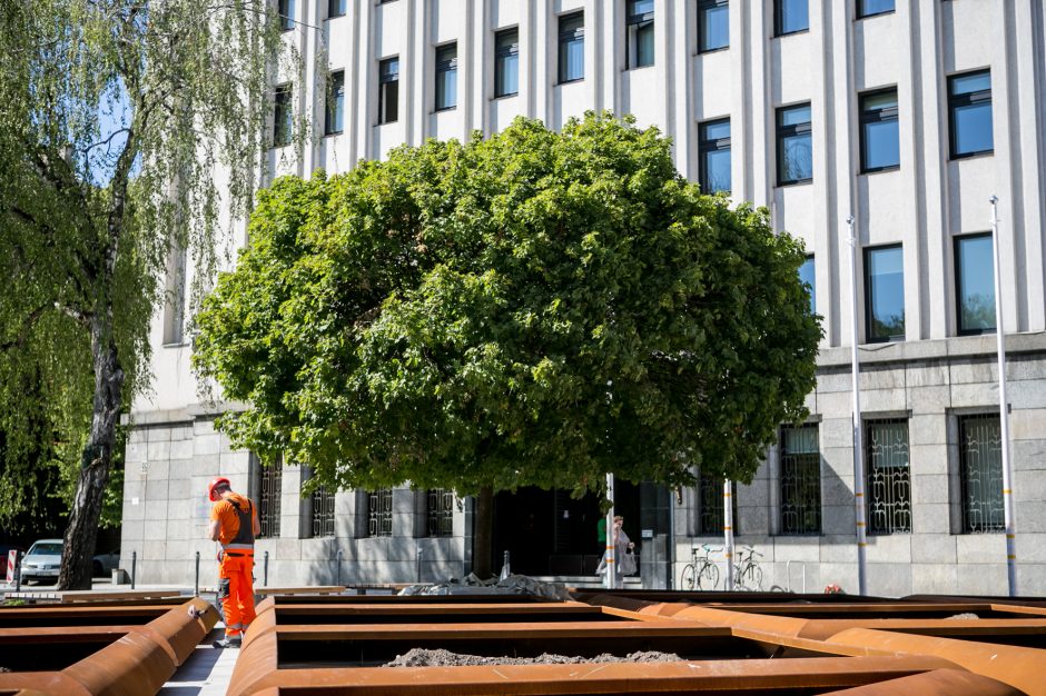 Glumina vaizdas prie savivaldybės: šis gėlynas primena Petrašiūnų kolumbariumą