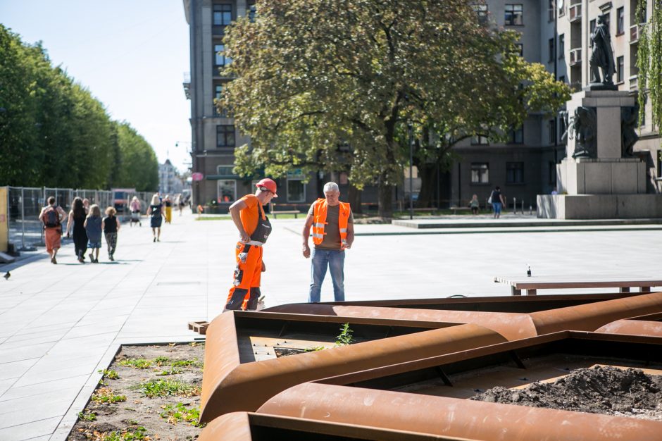 Glumina vaizdas prie savivaldybės: šis gėlynas primena Petrašiūnų kolumbariumą