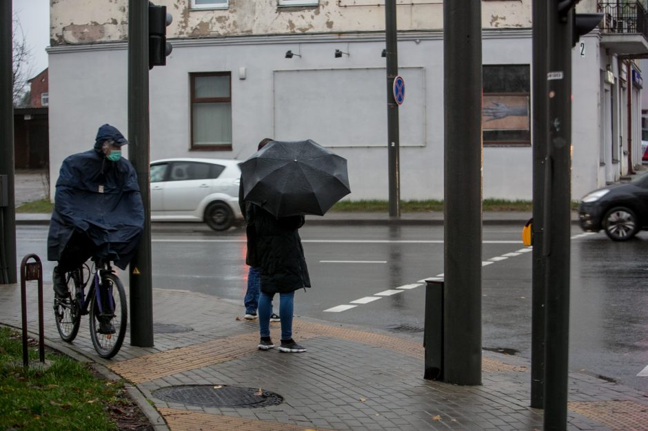 Troleibuso partrenktos moters vaikai meldžia pagalbos: gal esate šios tragedijos liudininkas?