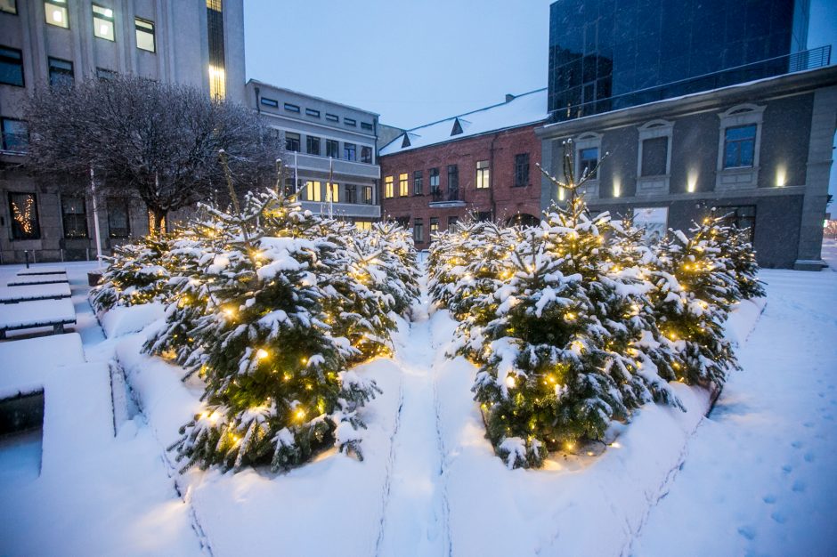 Kauną surakino sniego gniaužtai: eismo sąlygos nepavydėtinos visame mieste