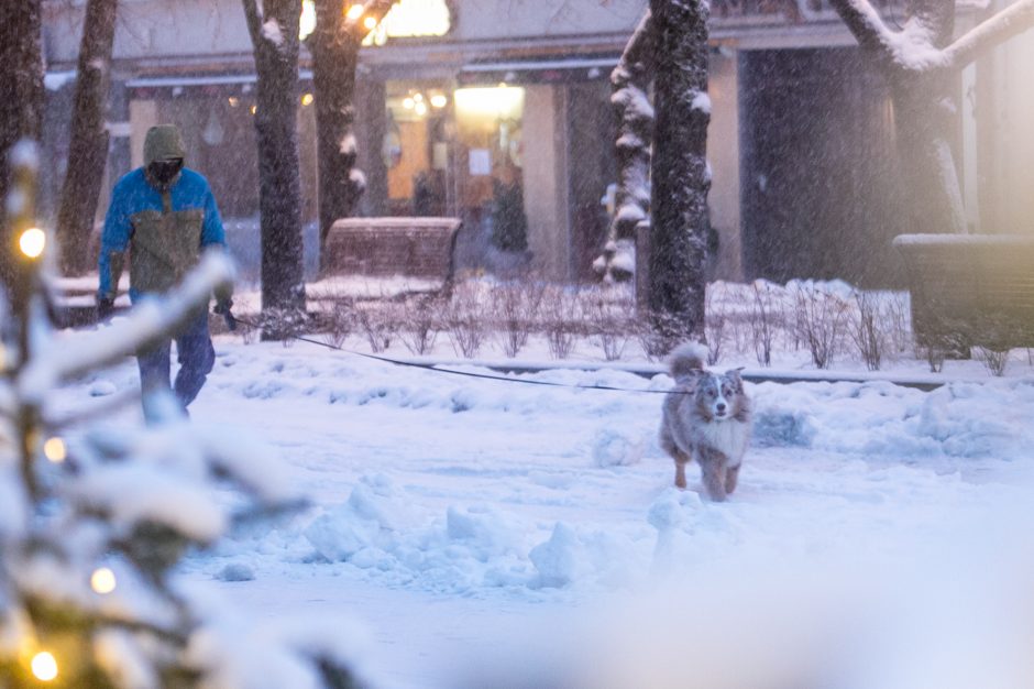 Kauną surakino sniego gniaužtai: eismo sąlygos nepavydėtinos visame mieste