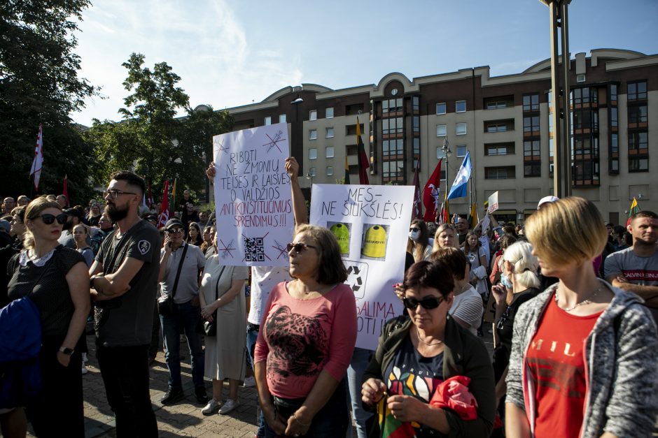 Žydų atstovai, I. Šimonytė pasmerkė Holokausto simbolikos naudojimą mitinge prie Seimo