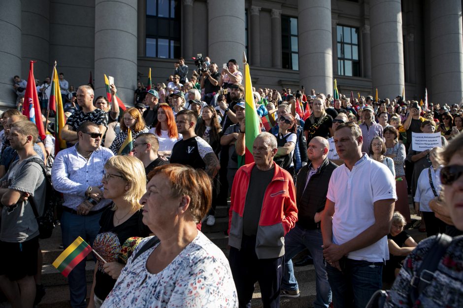 Žydų atstovai, I. Šimonytė pasmerkė Holokausto simbolikos naudojimą mitinge prie Seimo