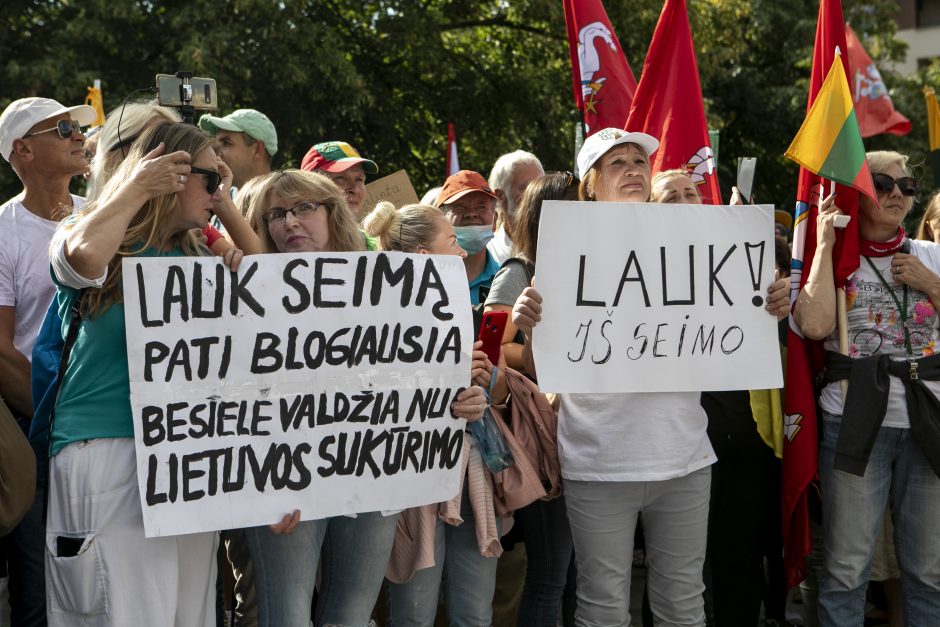 Žydų atstovai, I. Šimonytė pasmerkė Holokausto simbolikos naudojimą mitinge prie Seimo