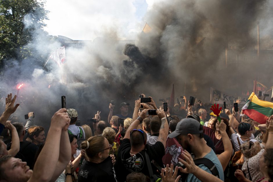 Žydų atstovai, I. Šimonytė pasmerkė Holokausto simbolikos naudojimą mitinge prie Seimo