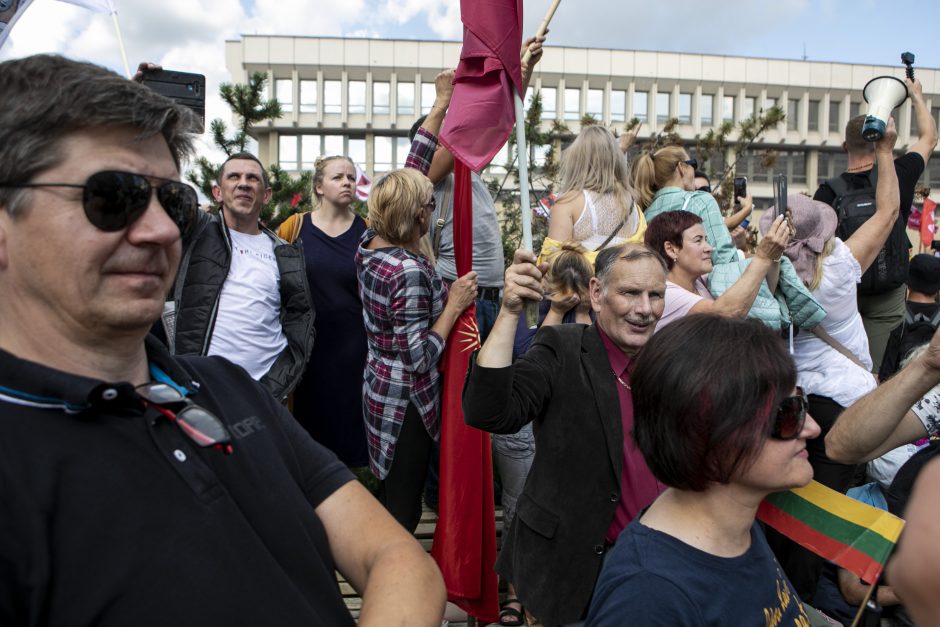 Žydų atstovai, I. Šimonytė pasmerkė Holokausto simbolikos naudojimą mitinge prie Seimo