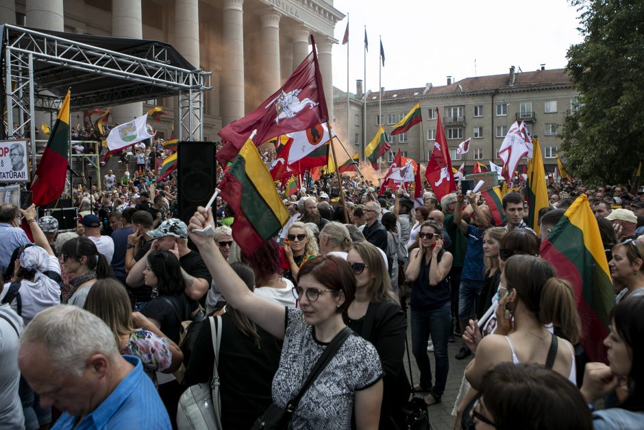 Žydų atstovai, I. Šimonytė pasmerkė Holokausto simbolikos naudojimą mitinge prie Seimo