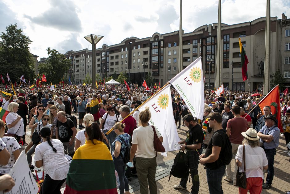 Žydų atstovai, I. Šimonytė pasmerkė Holokausto simbolikos naudojimą mitinge prie Seimo