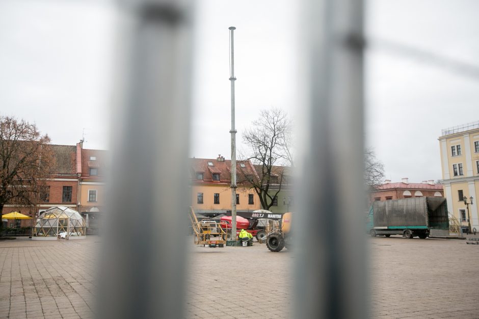 Į viršų stiebiasi Kauno kalėdinės eglutės karkasas: netrukus atkeliaus ir dekoracijos