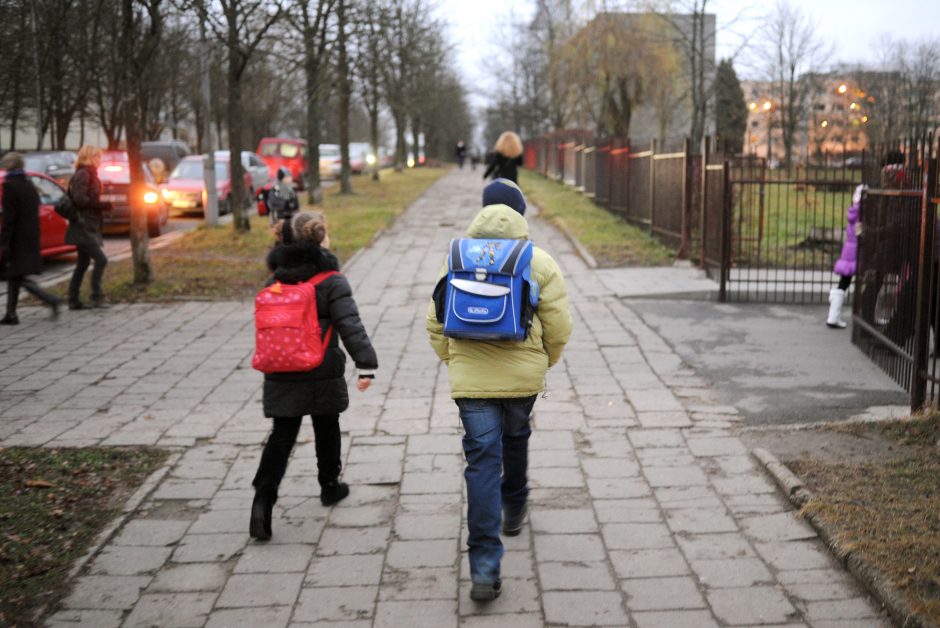 Savaitė mokykloje kupina įspūdžių: vaikų akys spindėjo iš laimės, visi pasiilgo kontakto