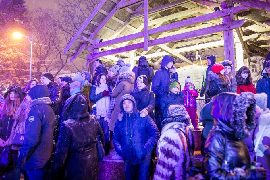 Katedros aikštėje suspindo stulbinanti Vilniaus Kalėdų eglė