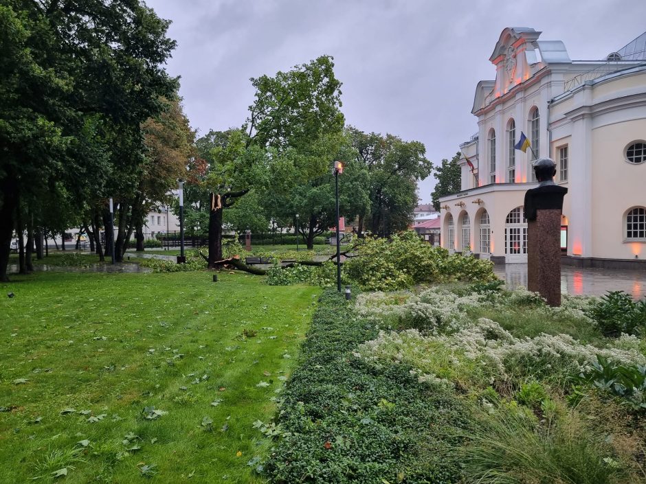 Audringi orai tęsiasi: lietaus tebemerkiamas Kaunas prabudo nuklotas nulaužytomis šakomis