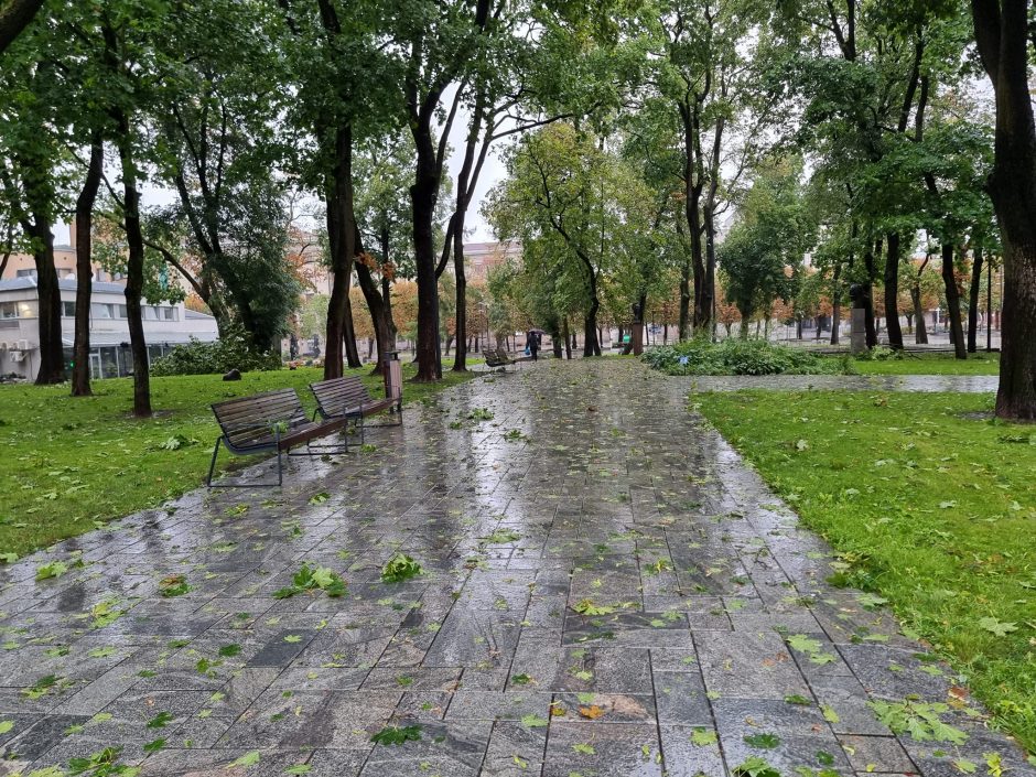 Audringi orai tęsiasi: lietaus tebemerkiamas Kaunas prabudo nuklotas nulaužytomis šakomis