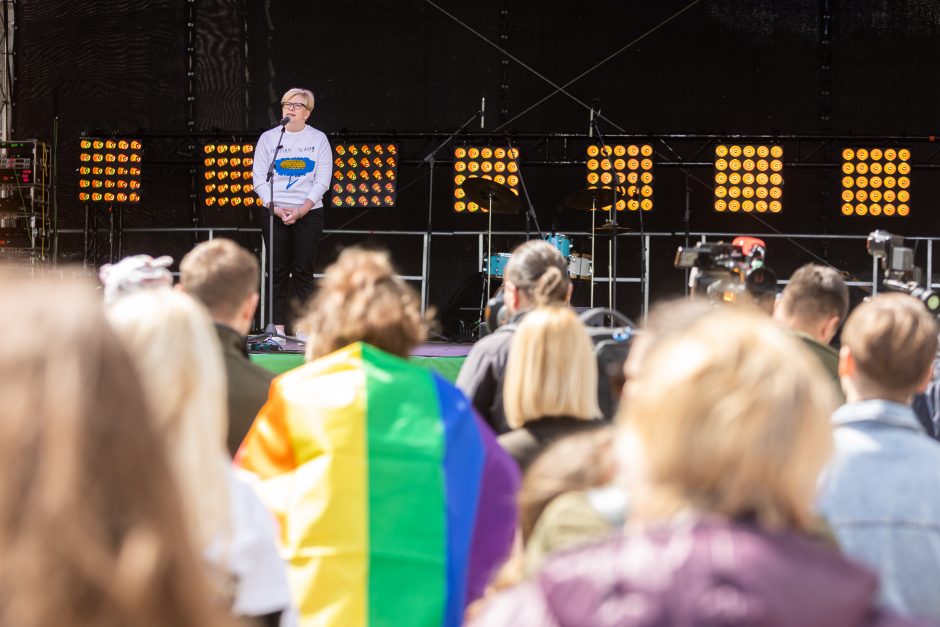 Keli šimtai žmonių Vilniuje susirinko pareikšti, kad visos šeimos svarbios