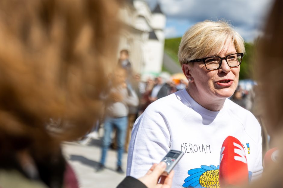 Keli šimtai žmonių Vilniuje susirinko pareikšti, kad visos šeimos svarbios