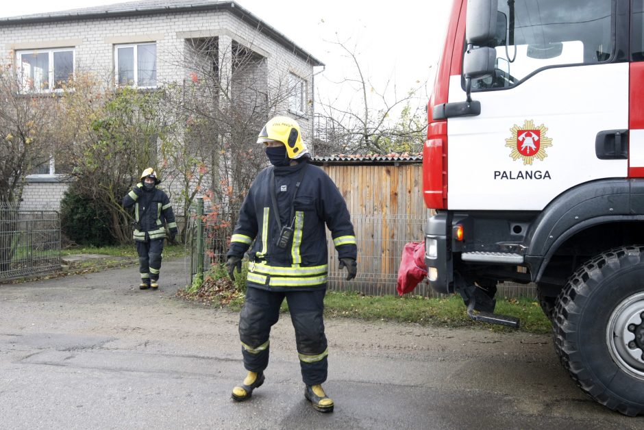 Kretingos ir Klaipėdos rajonuose – dvi tragiškos žūtys