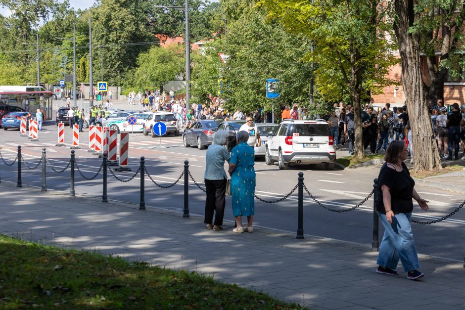 Metų renginys: E. Sheerano koncerte – margaspalvė minia