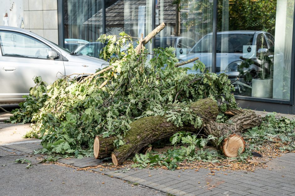 Virtęs medis pridarė daug žalos ir įsiutino gyventojus: ne pirmas kartas